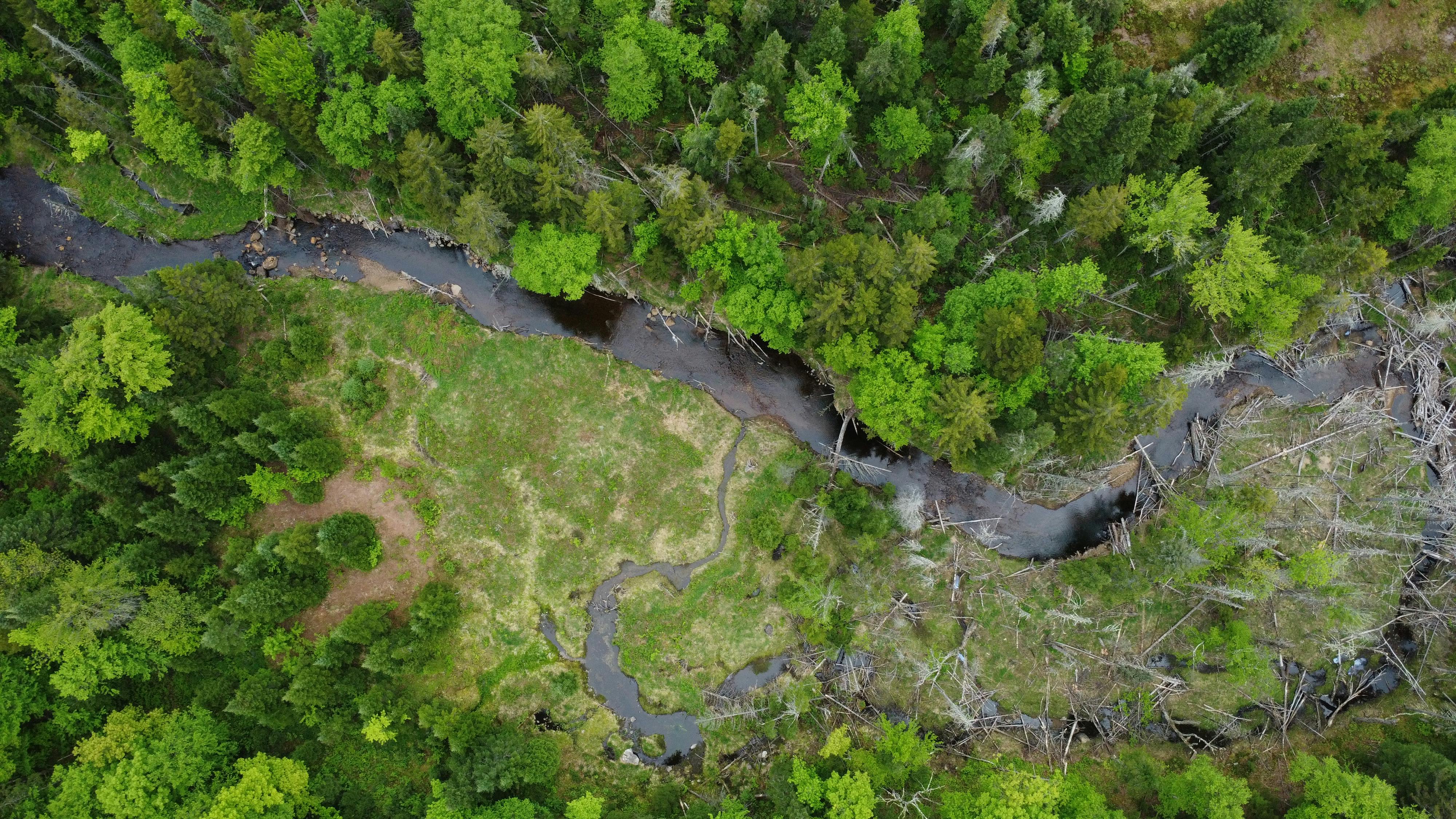 _DJI_0643.JPG