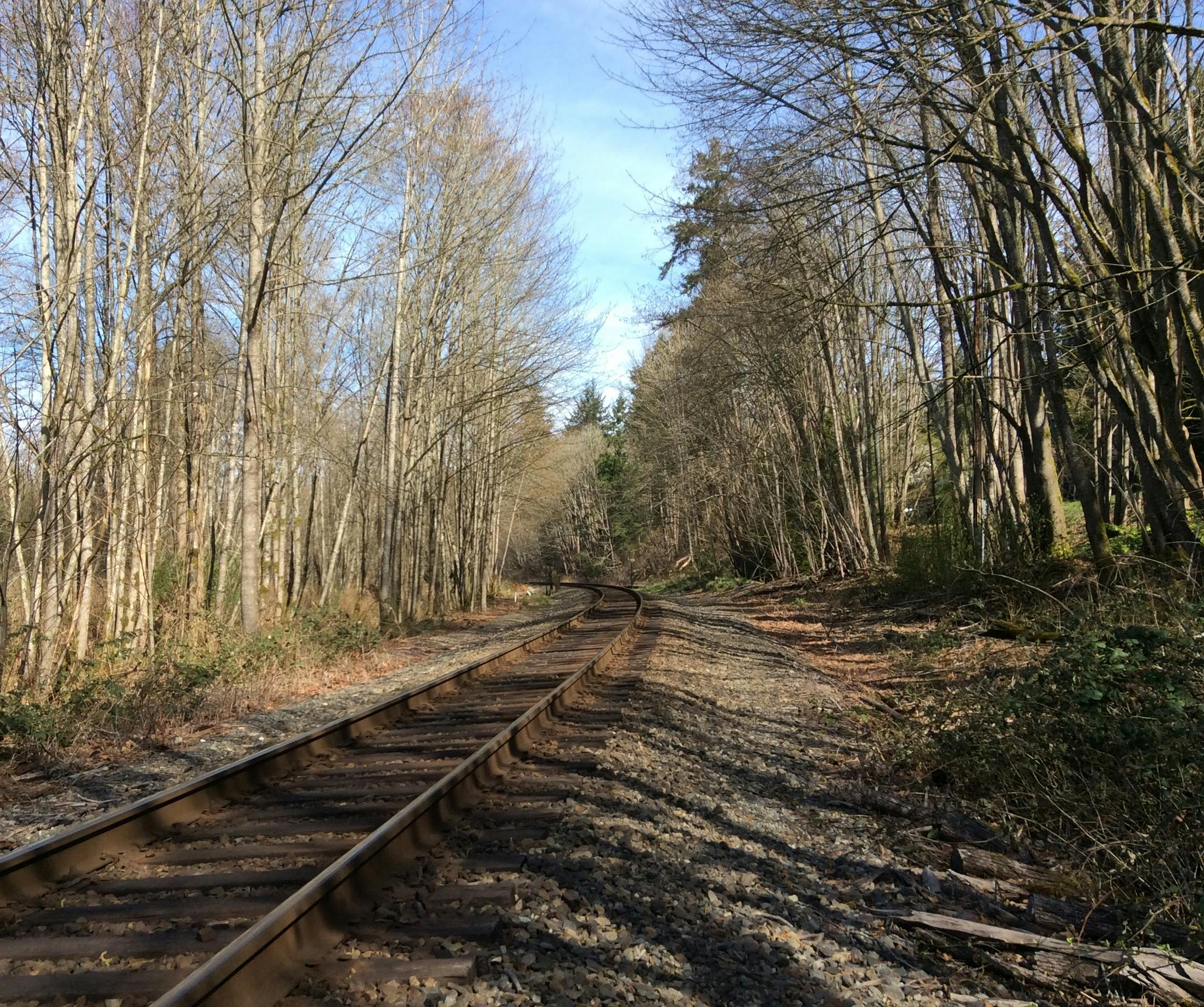 Environmental Stewardship