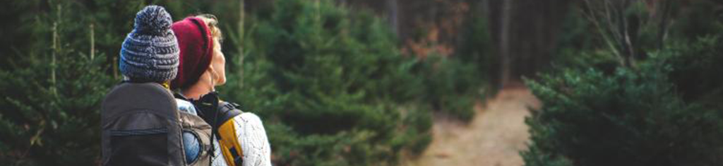 project banner