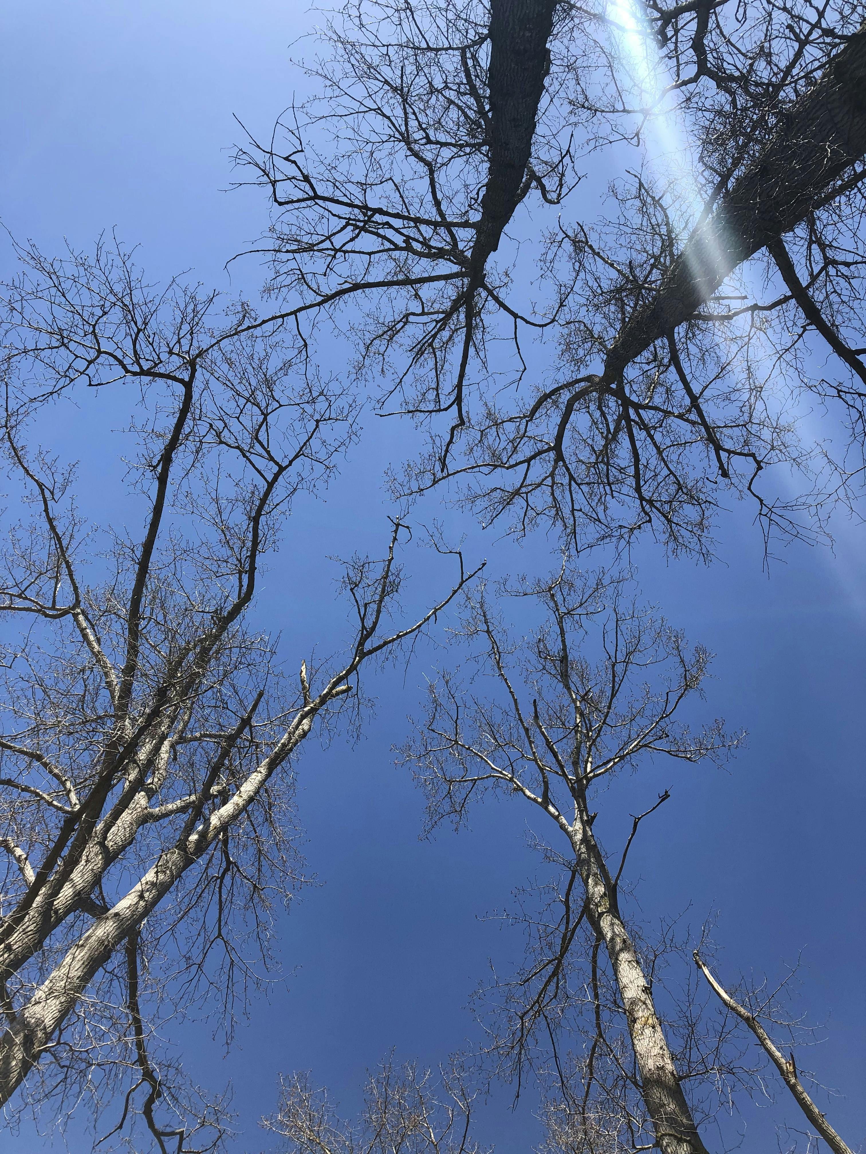 Beach Grove is Green