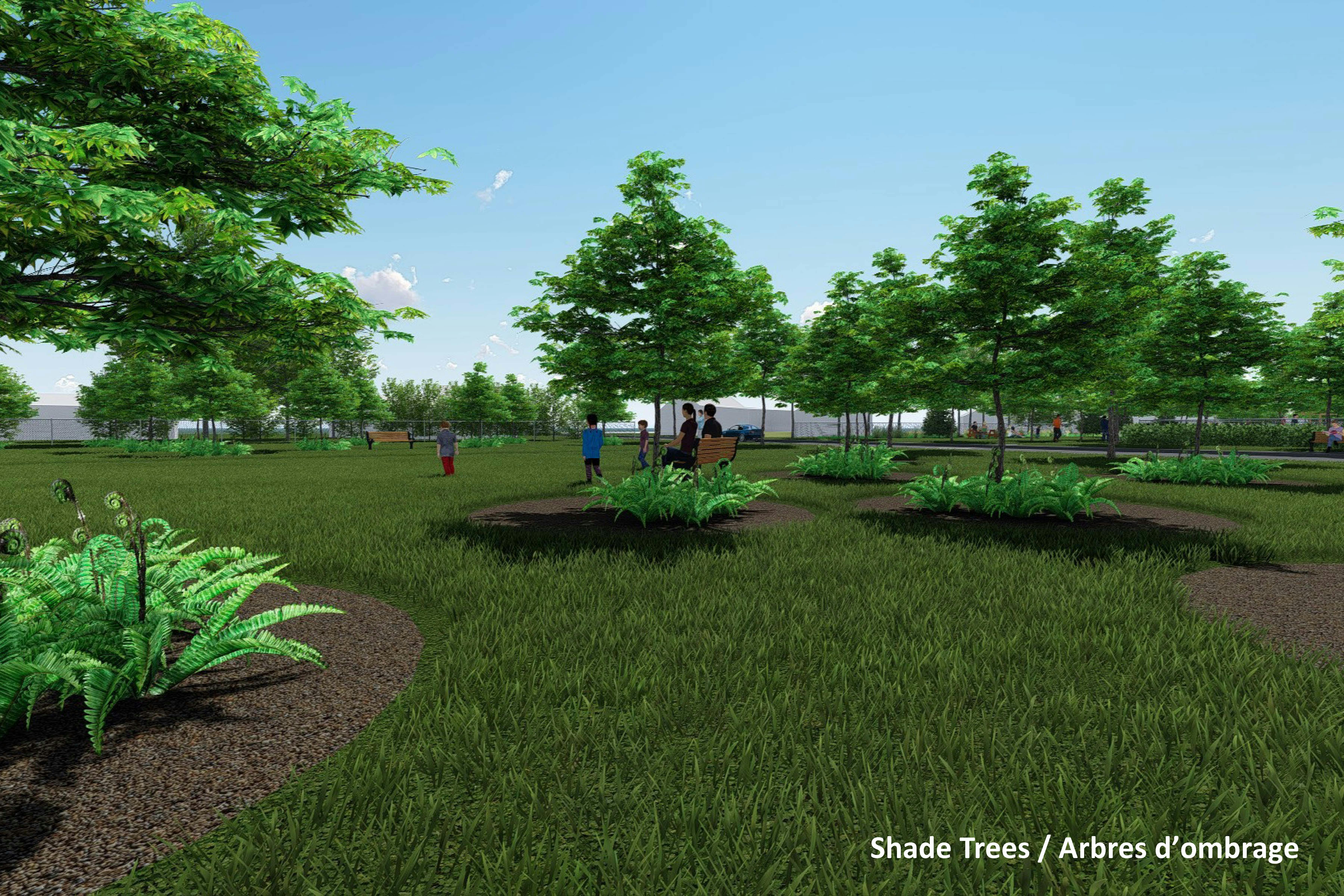 Concept - Arbres d'ombrage