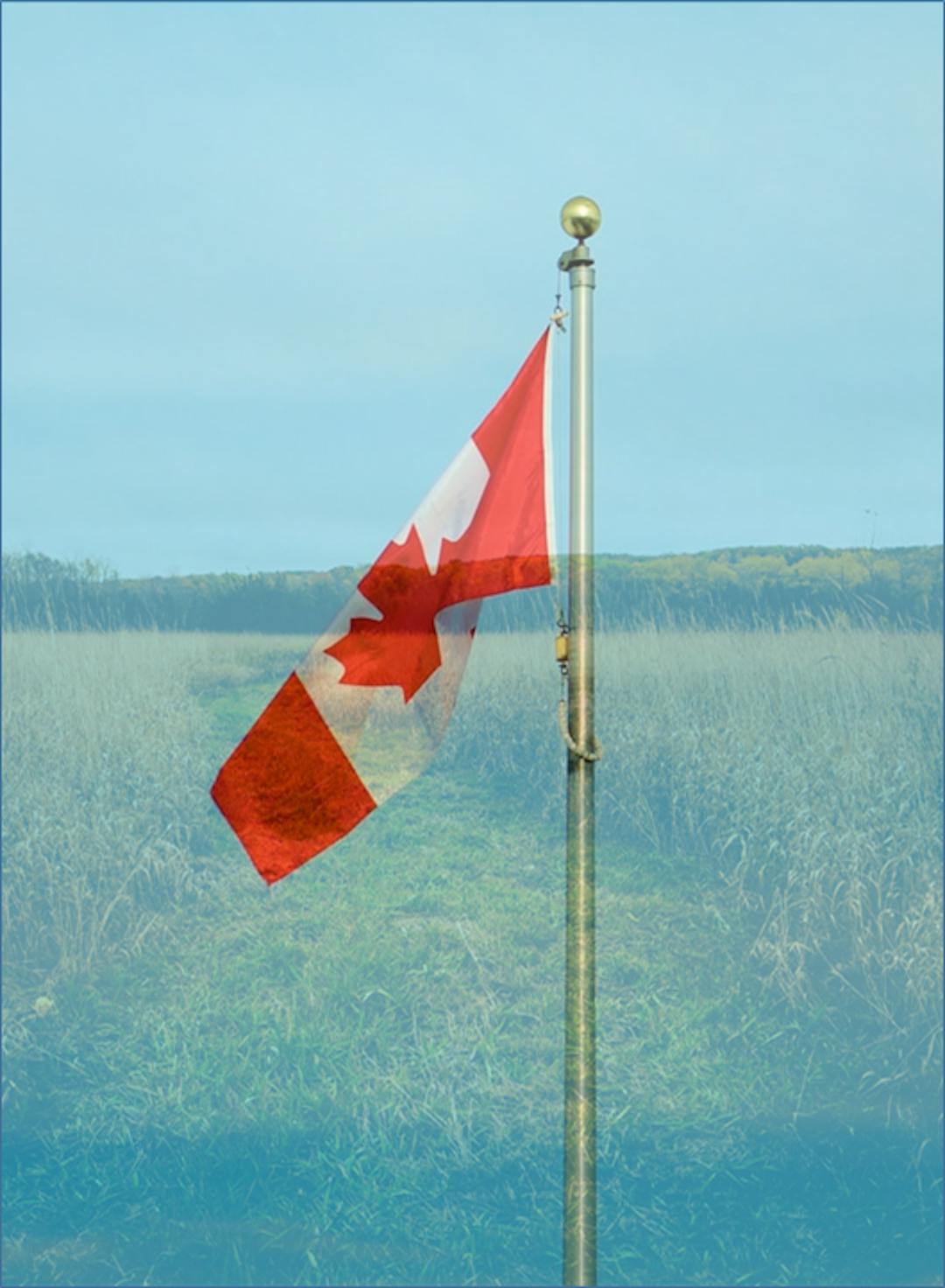 Image du drapeau du Canada imposé sur un champ agricole, représentant le mandat pan-canadien de l'organisme consultatif.