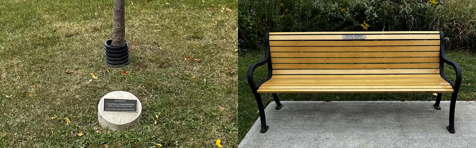 Tree and Bench examples for the Whitby dedication program
