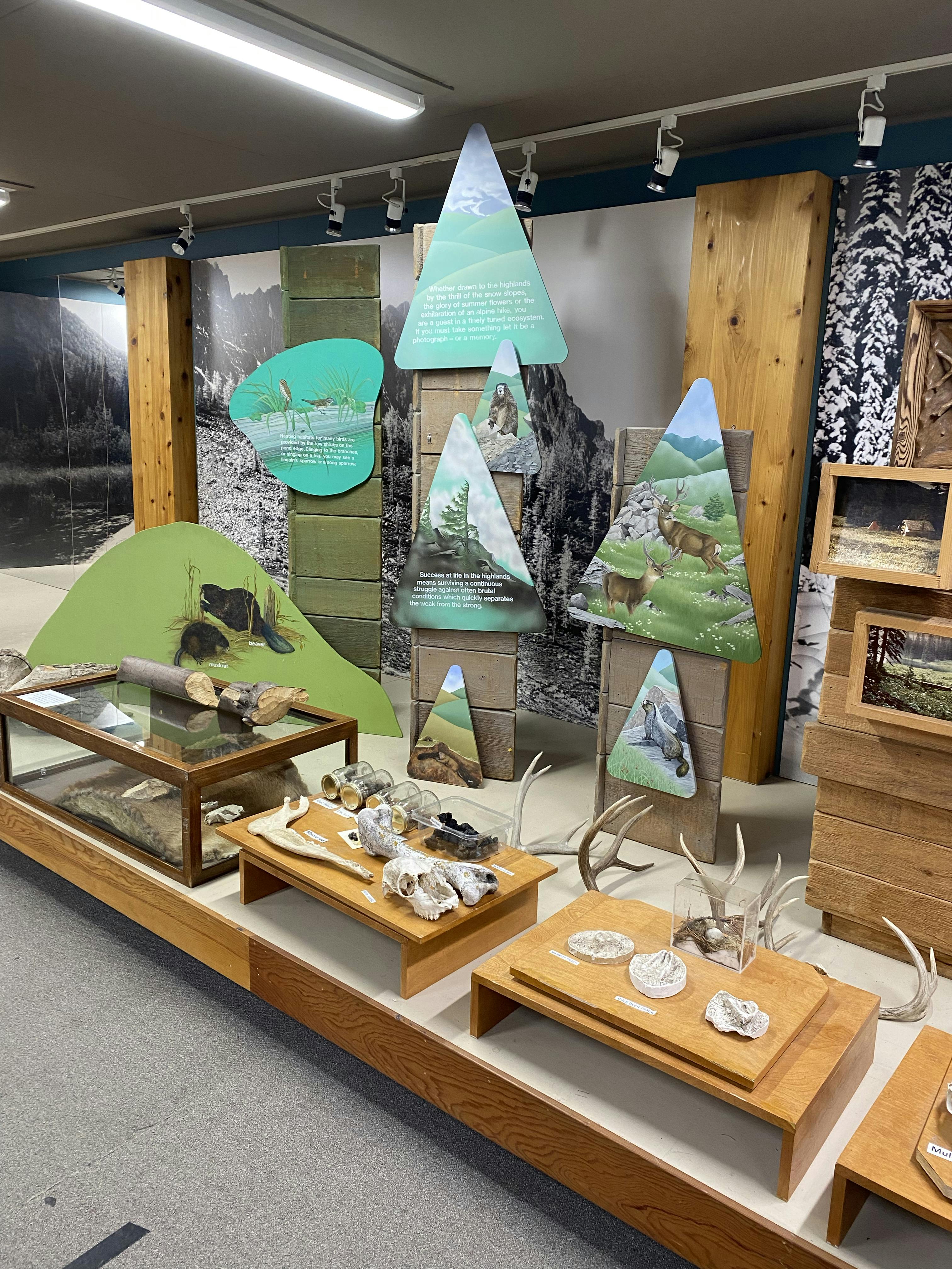 E.C. Manning Park Visitor Centre - Exhibits.jpg