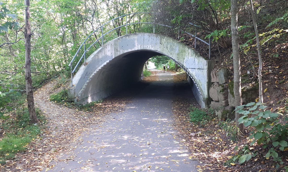 photo of part of the trail