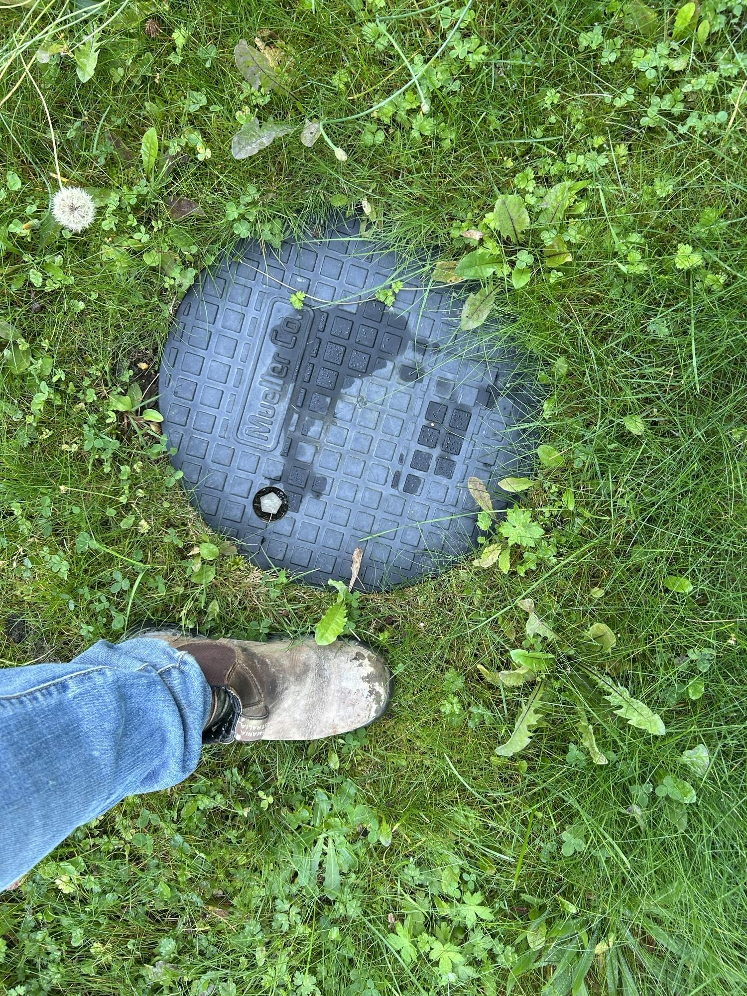 Closed_Meter_Pit_Grass2.jpeg