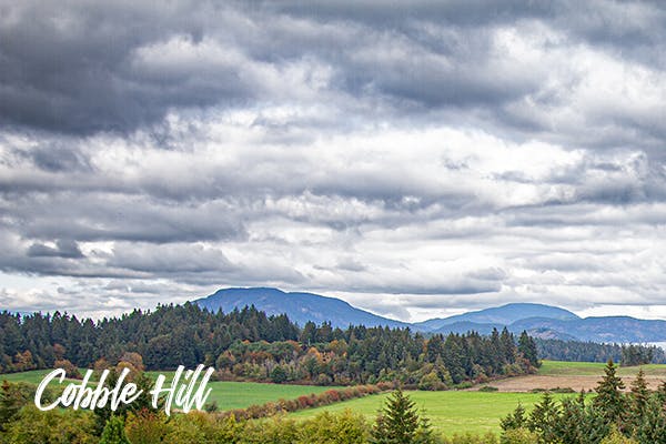 CobbleHill2.jpg