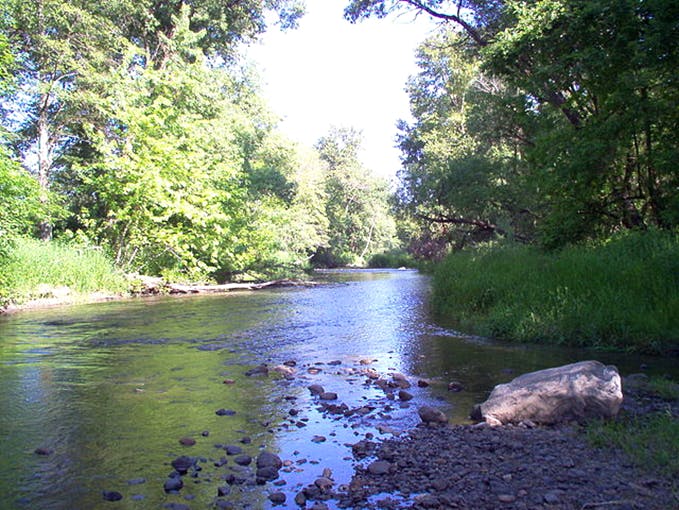 Milne Creek