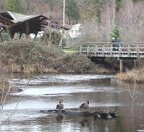 Fishtrap Creek Park