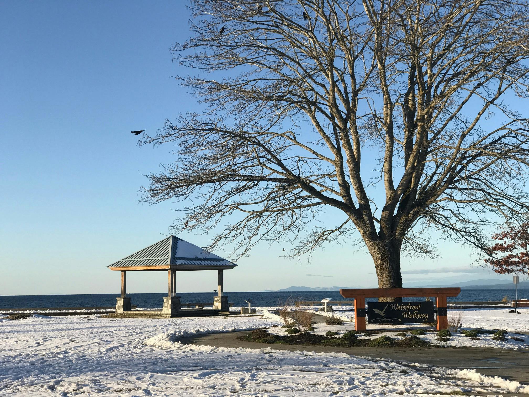 Winter in Community Park