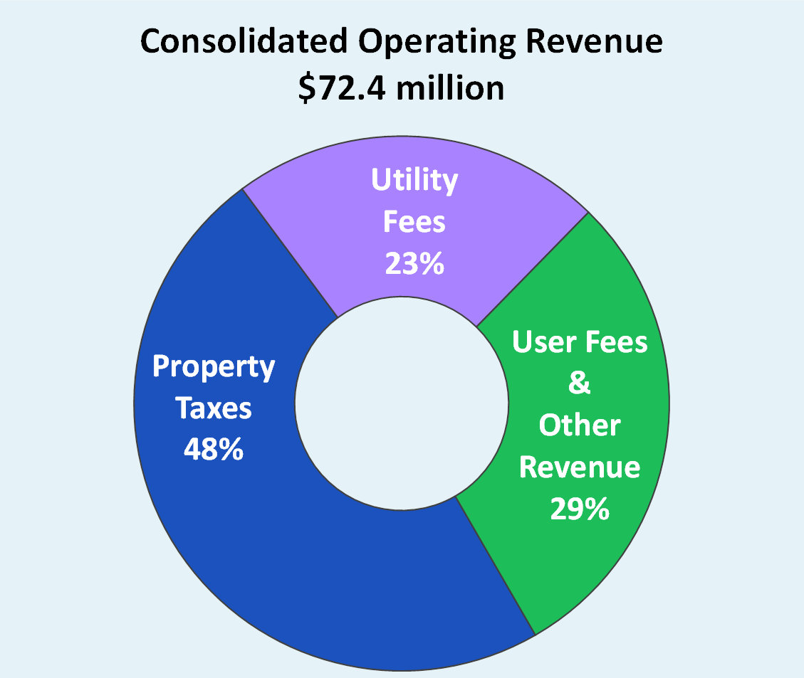 2018 Revenues