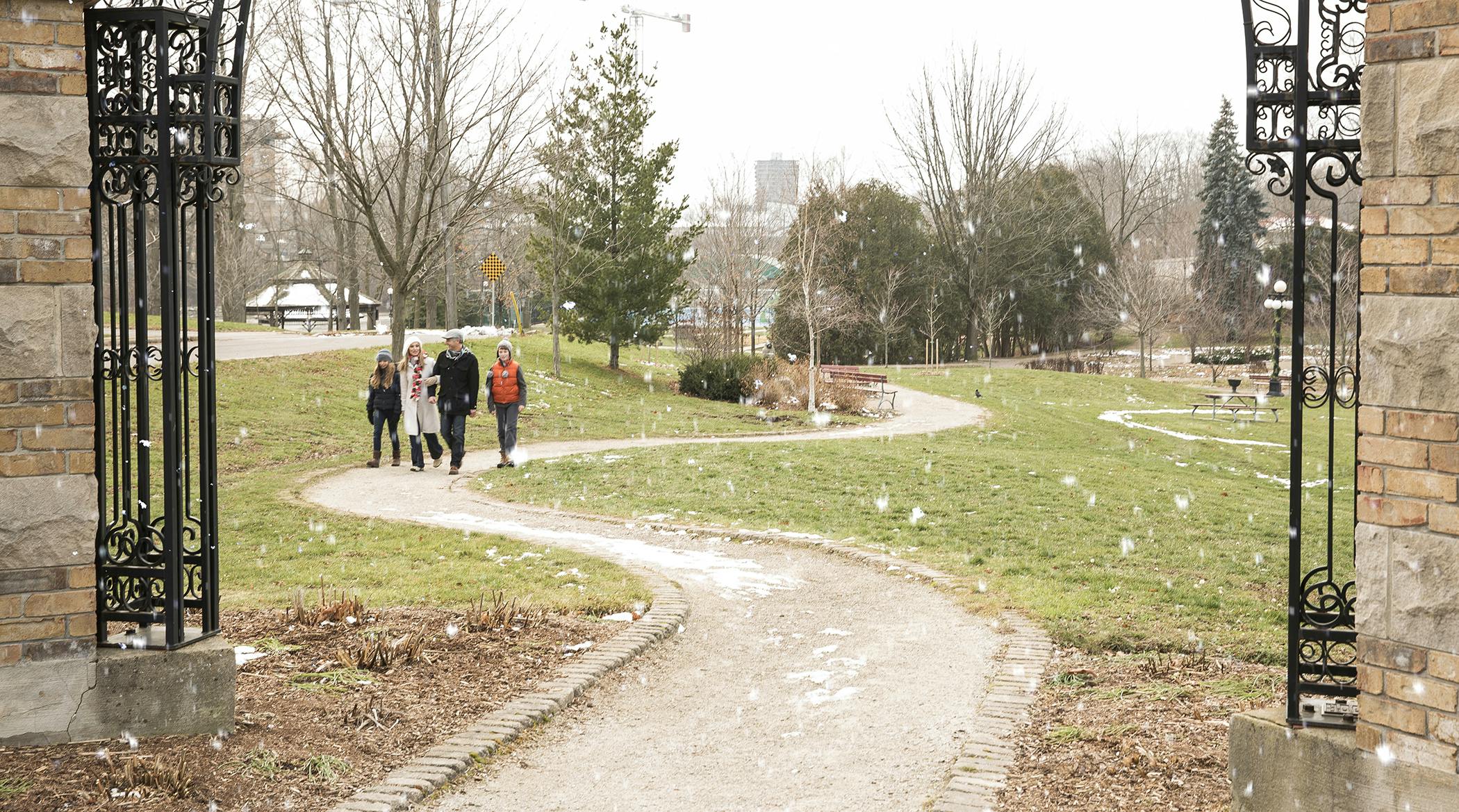 Waterloo Park Trail Winter