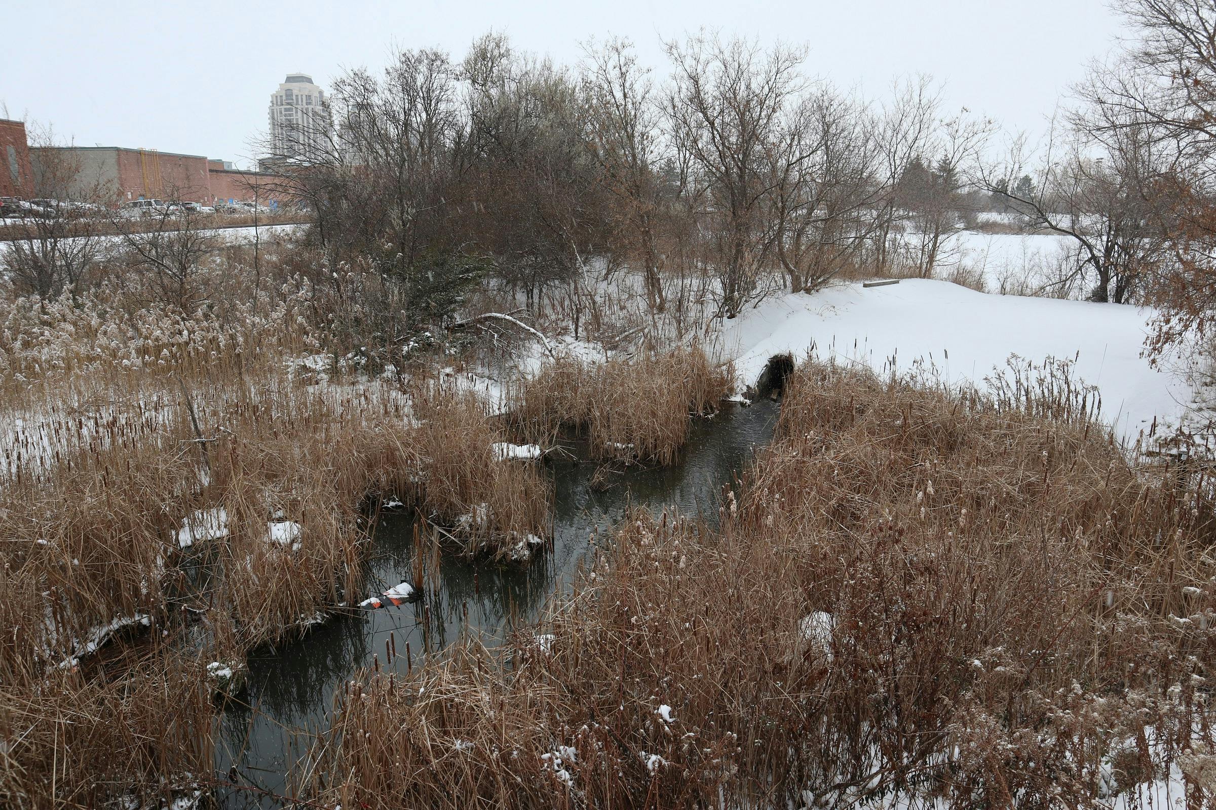 16th Avenue looking north to Mount Joy Creek