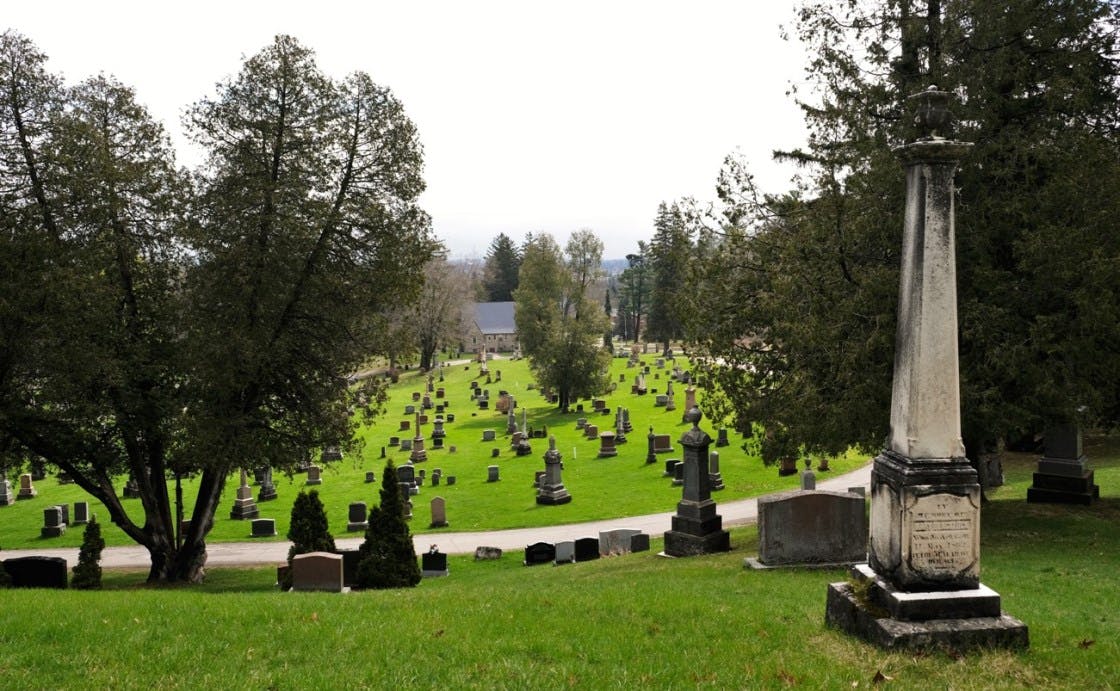 Mount View