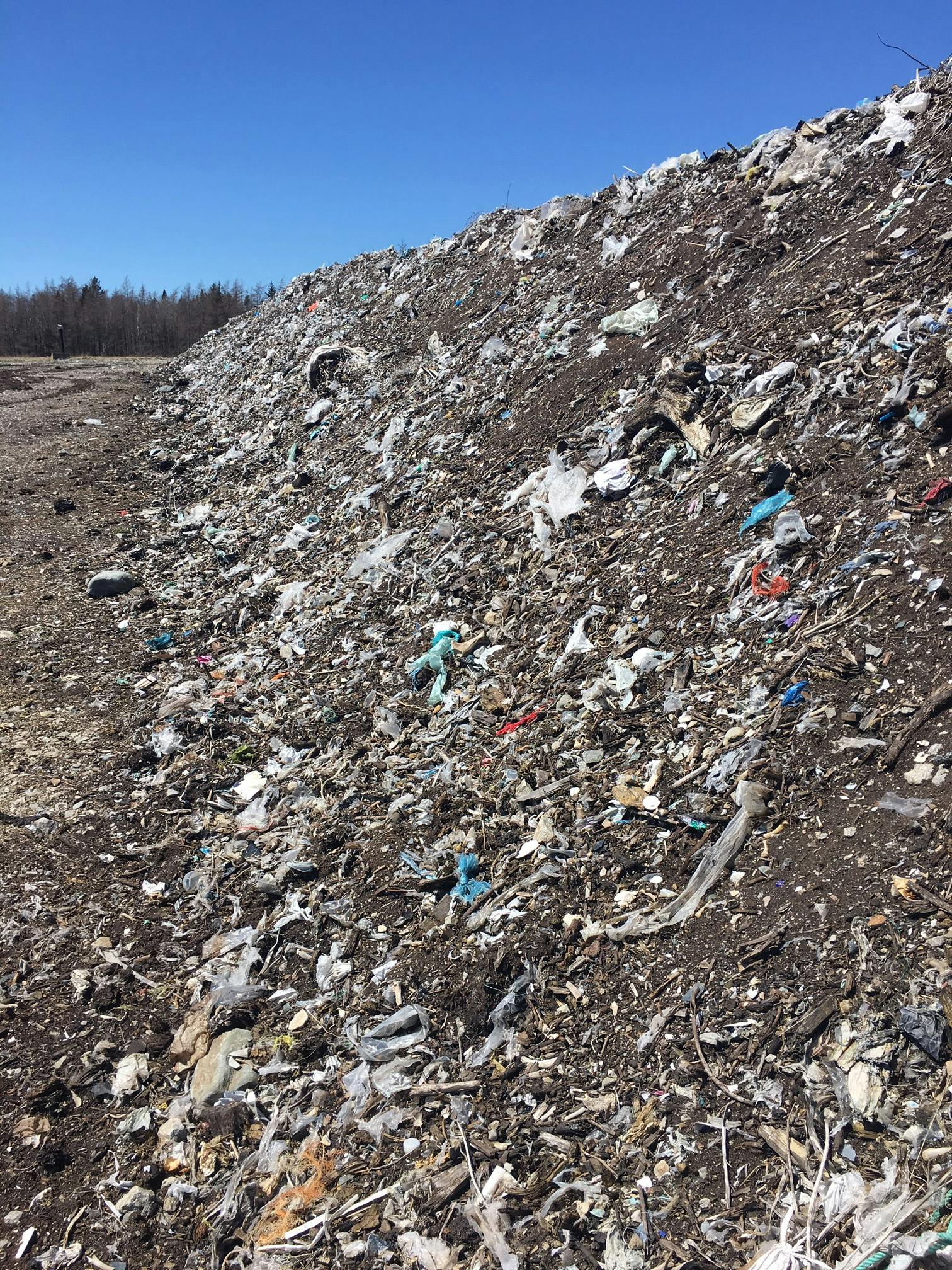 Plastic left over in curing piles