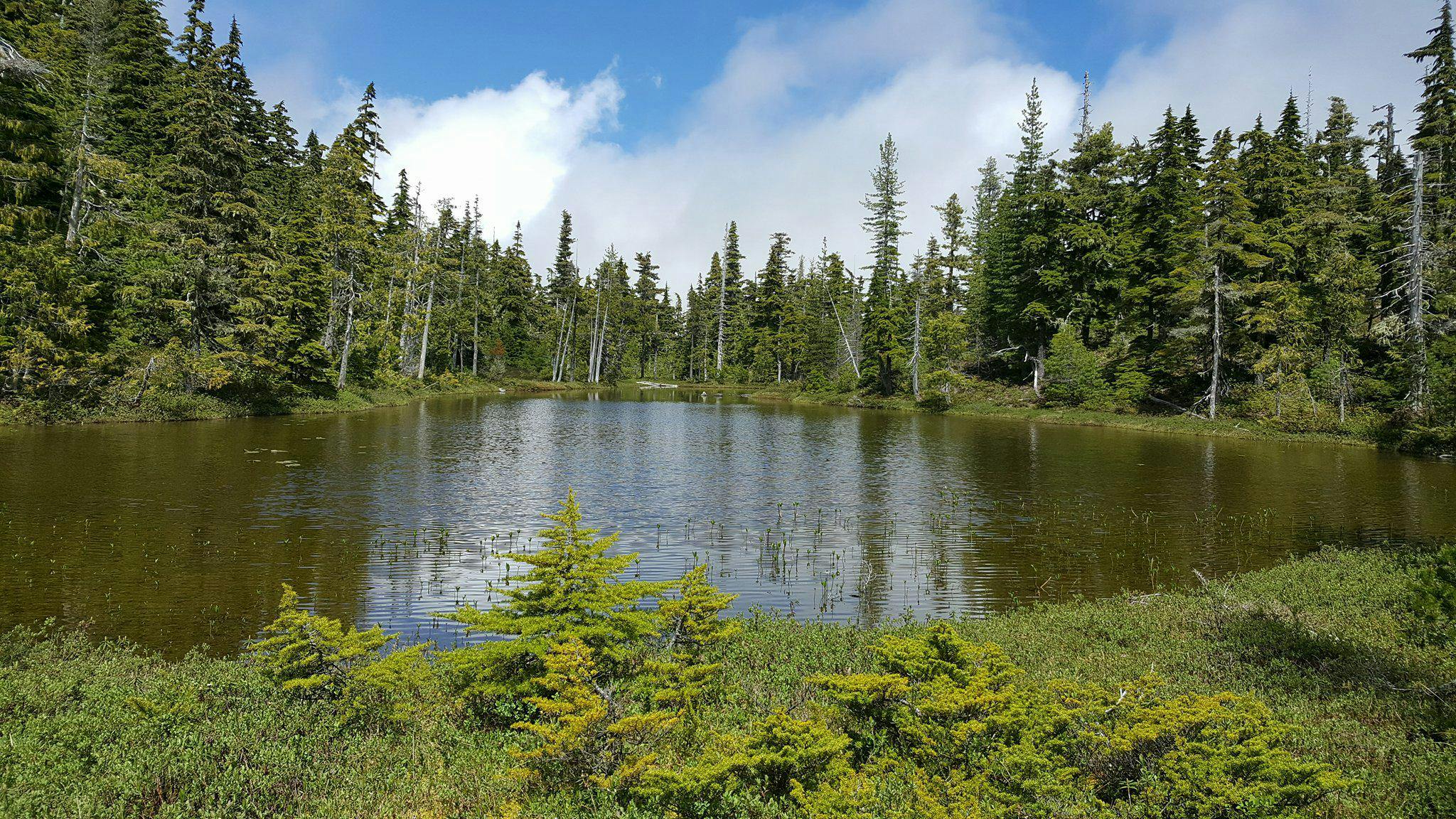 Uplands of Englishman River watershed