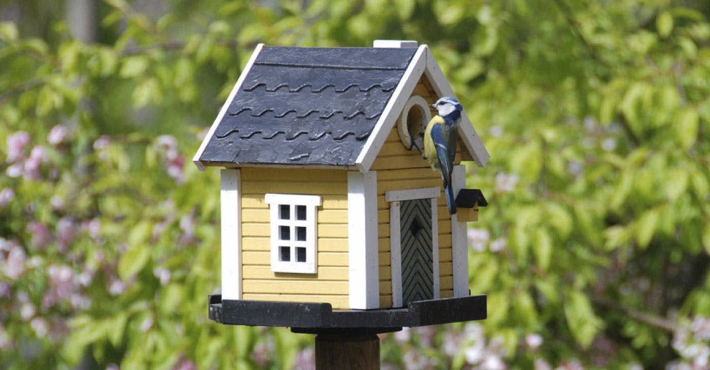 Bird House