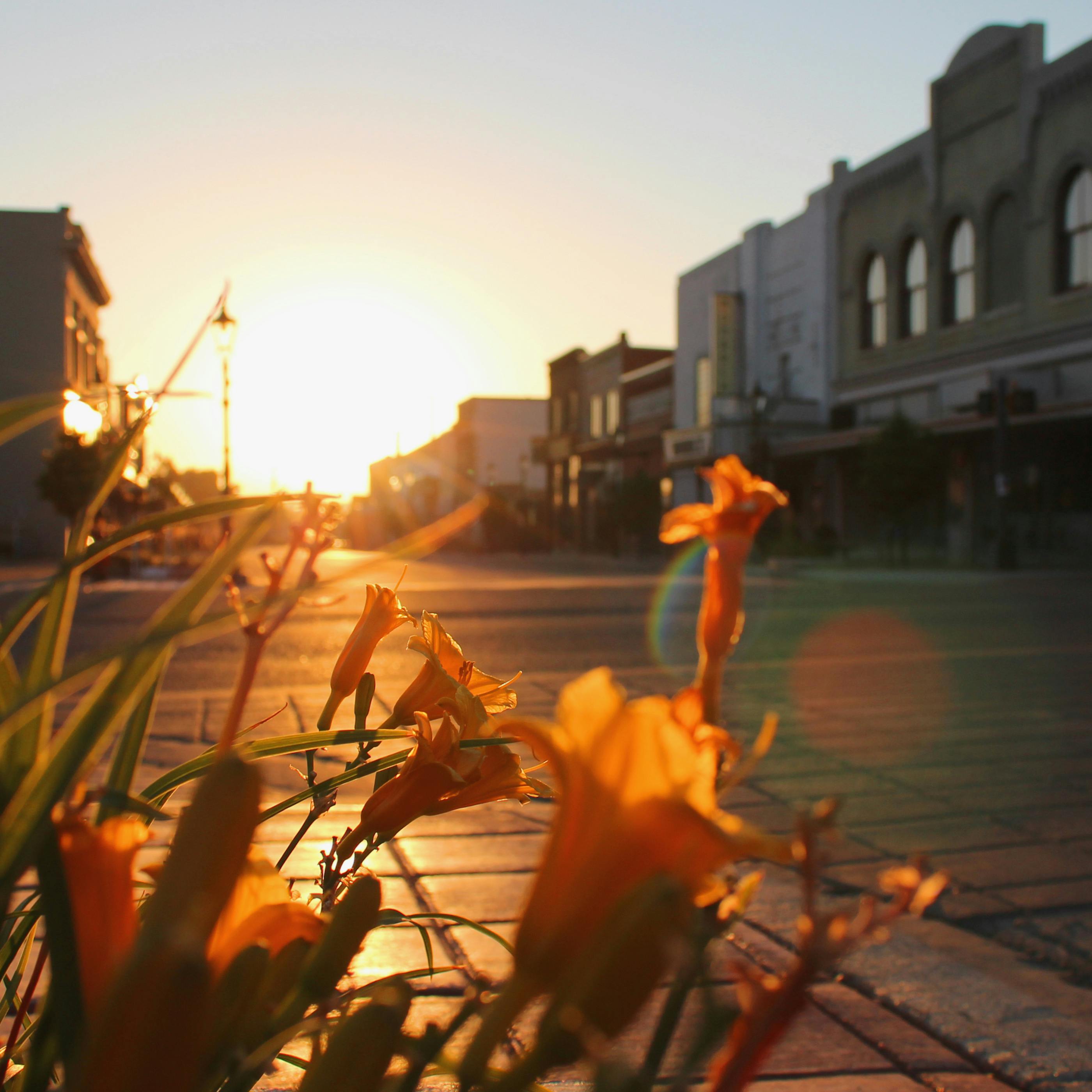 Downtown Medicine Hat