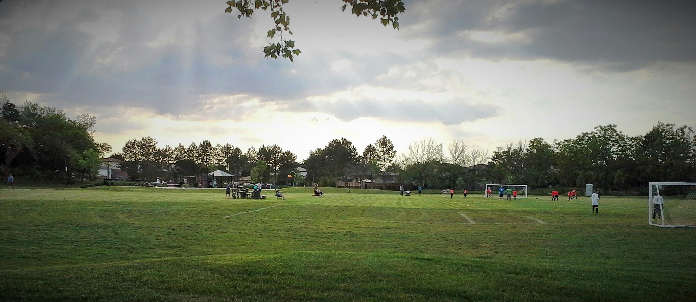 Laurier Park Improvements (2013)