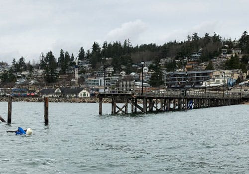 Waterfront Devastation