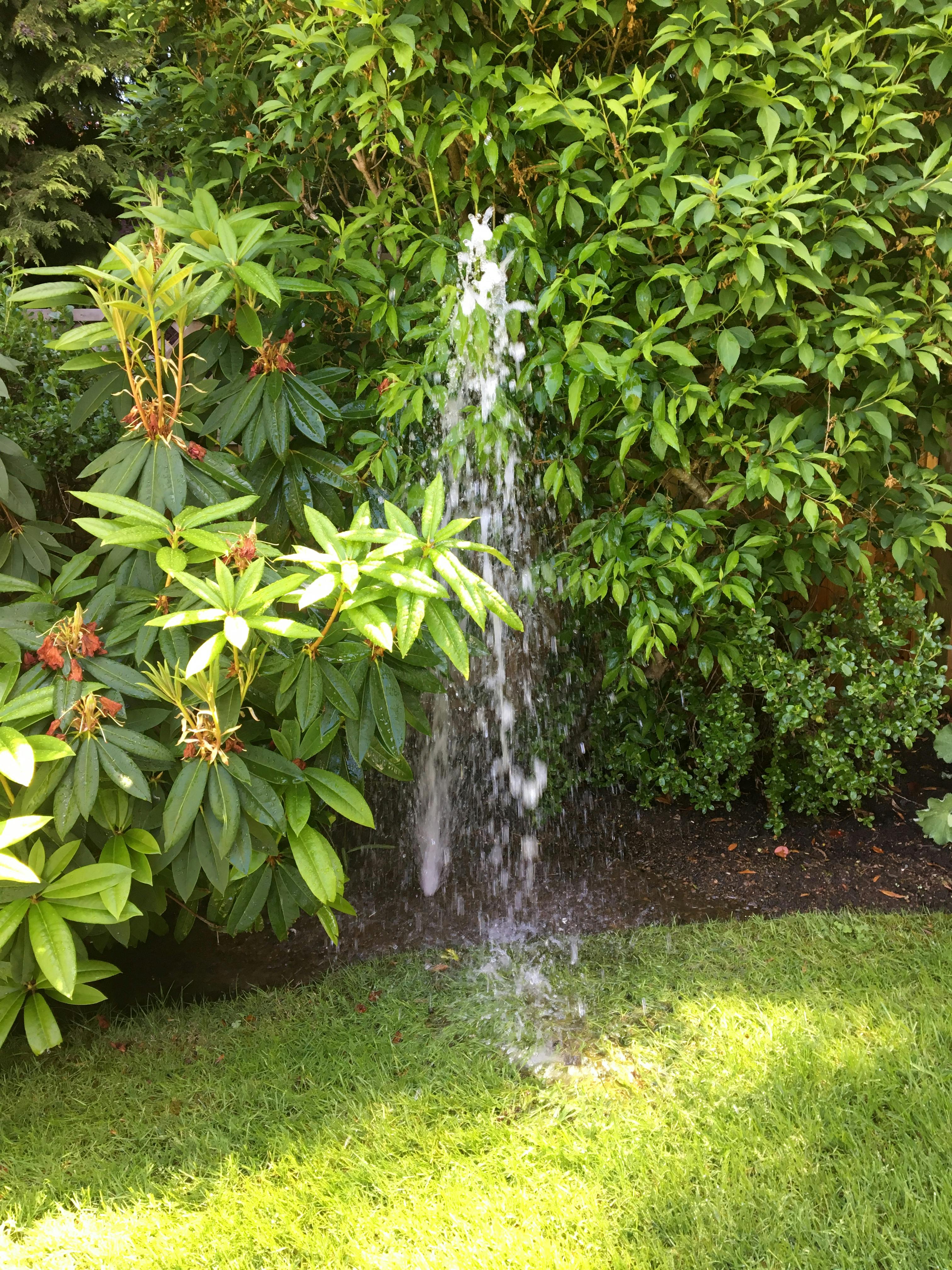 Catch that leak! Remember to inspect your irrigation system for leaks and potential water wastage.