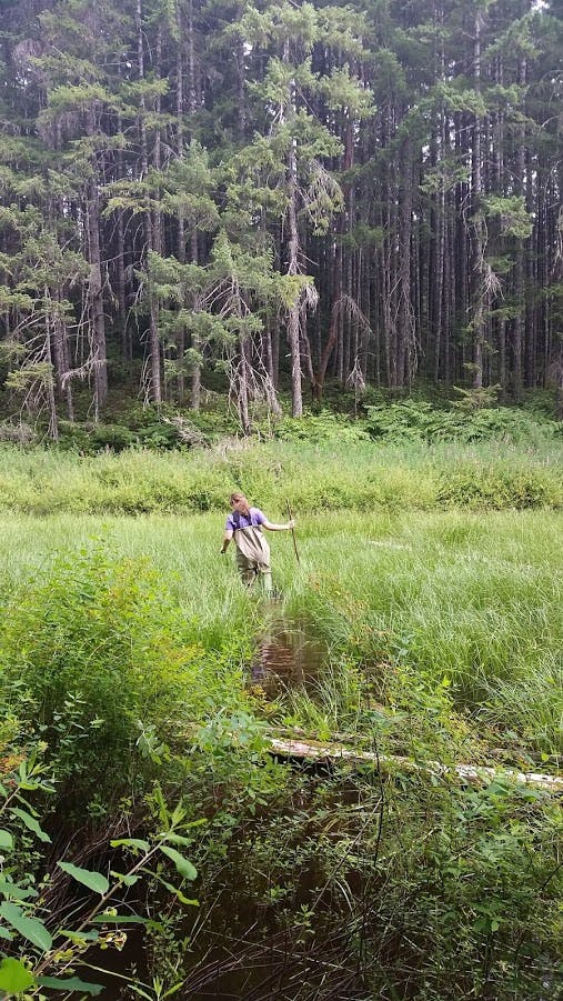 VIU Geography student wetland mapping