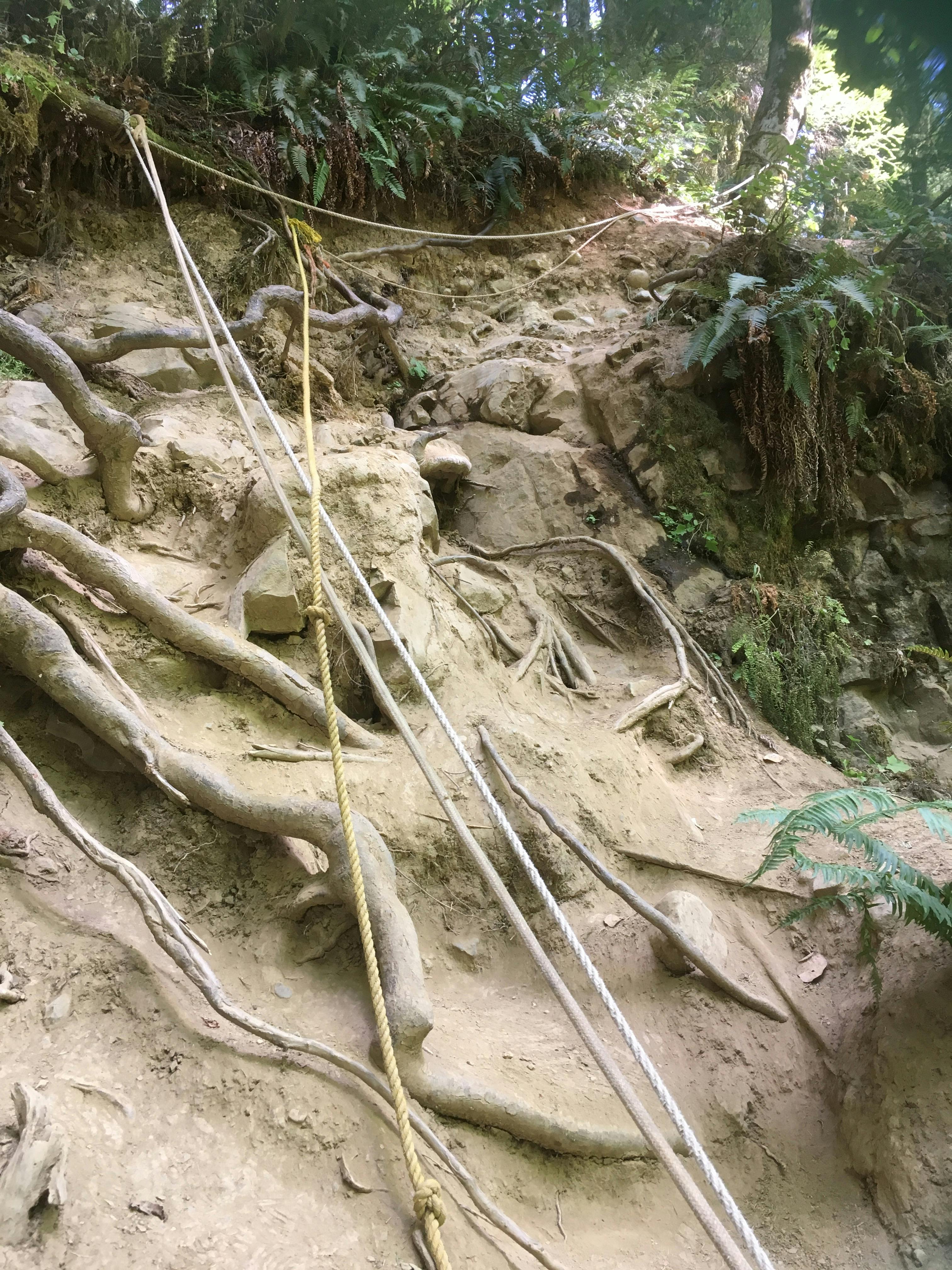 Erosion on the Ammonite Falls Descent