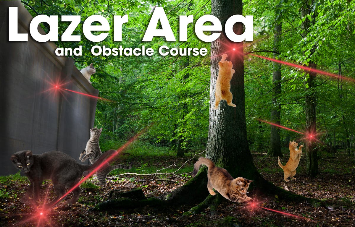Lazer area and obstacle course