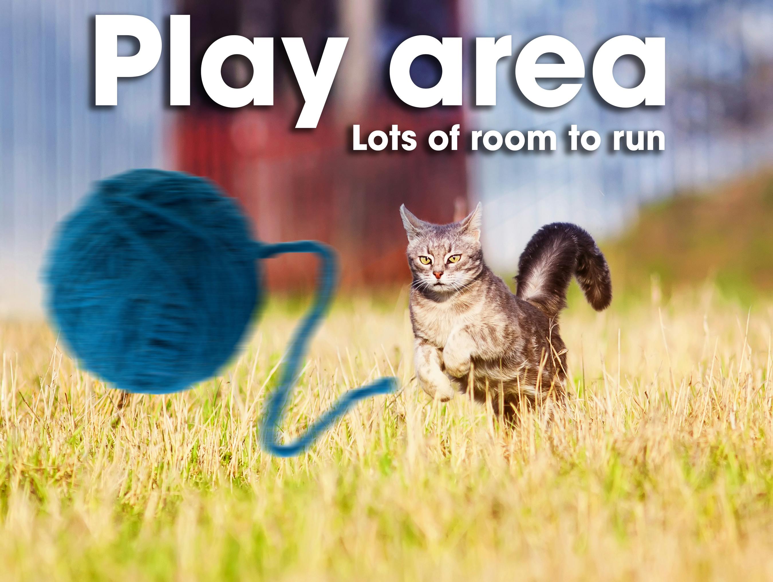 Play area with a lot of room to run