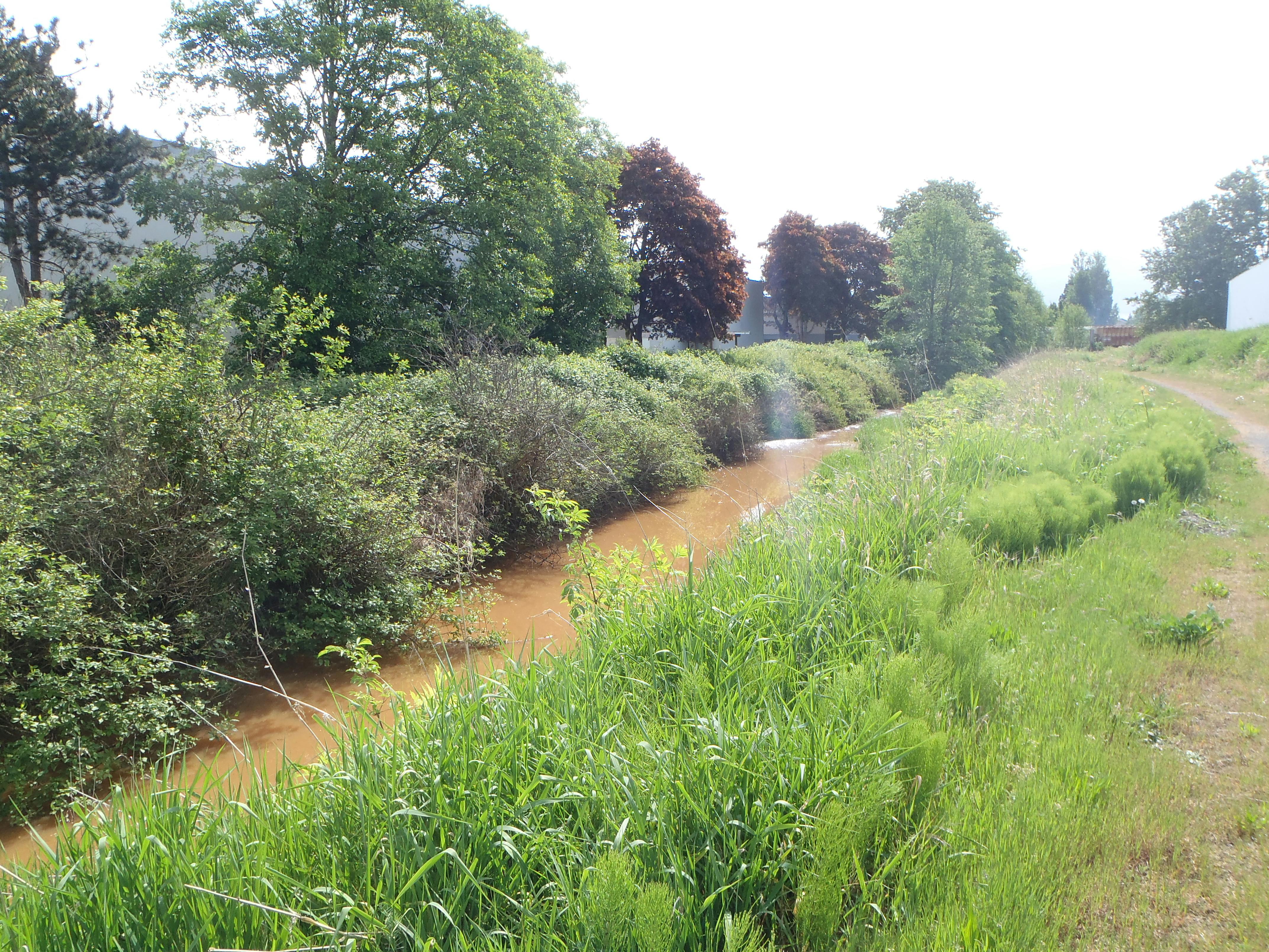 Our strategy supports the preservation of ditches and open watercourses, which serve to improve water and habitat quality, flood mitigation and conveyance, provide community amenities and connect existing isolated ecological lands.