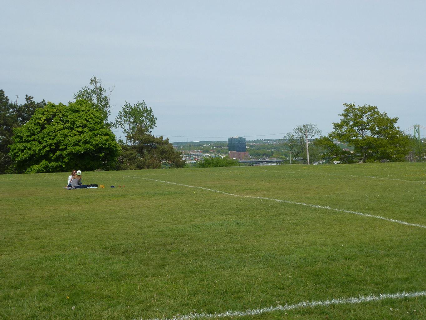 Green space at the park