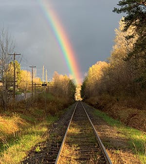 Rainbow Connection by Tim Miller