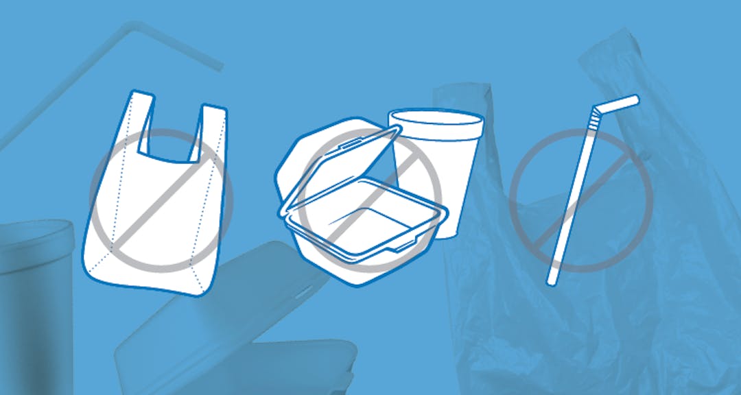 Single-Use Items