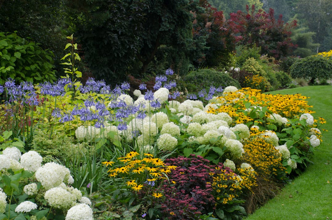 Observing a colourful garden of yellow, white, purple and blue.