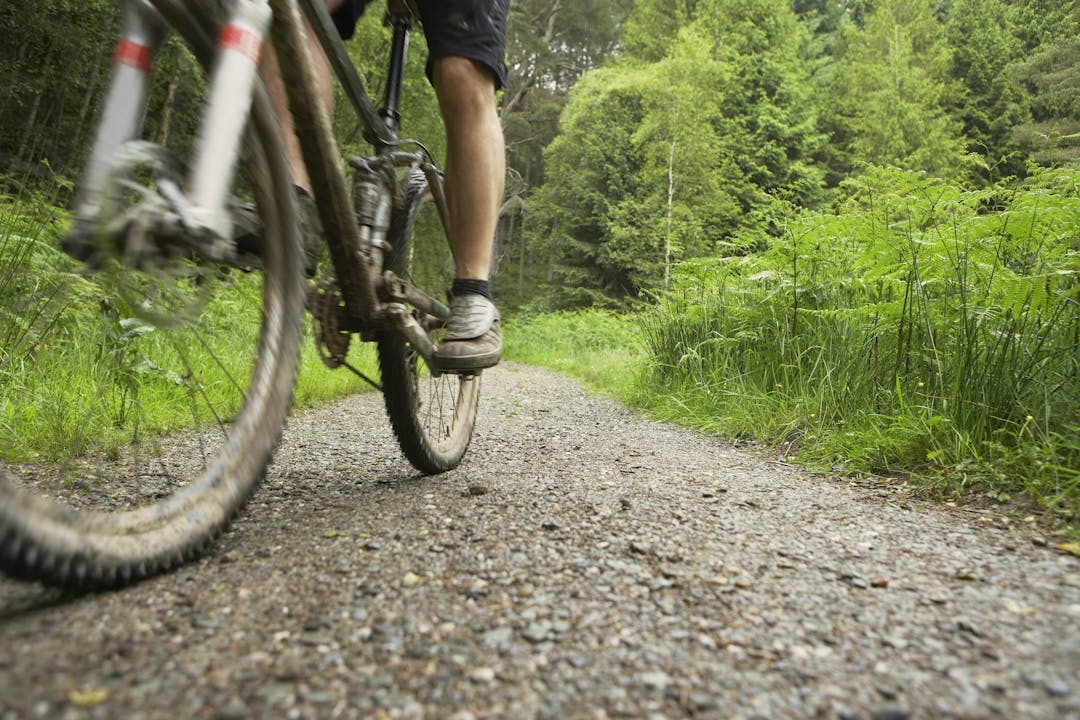 wahlfield park mountain bike trail