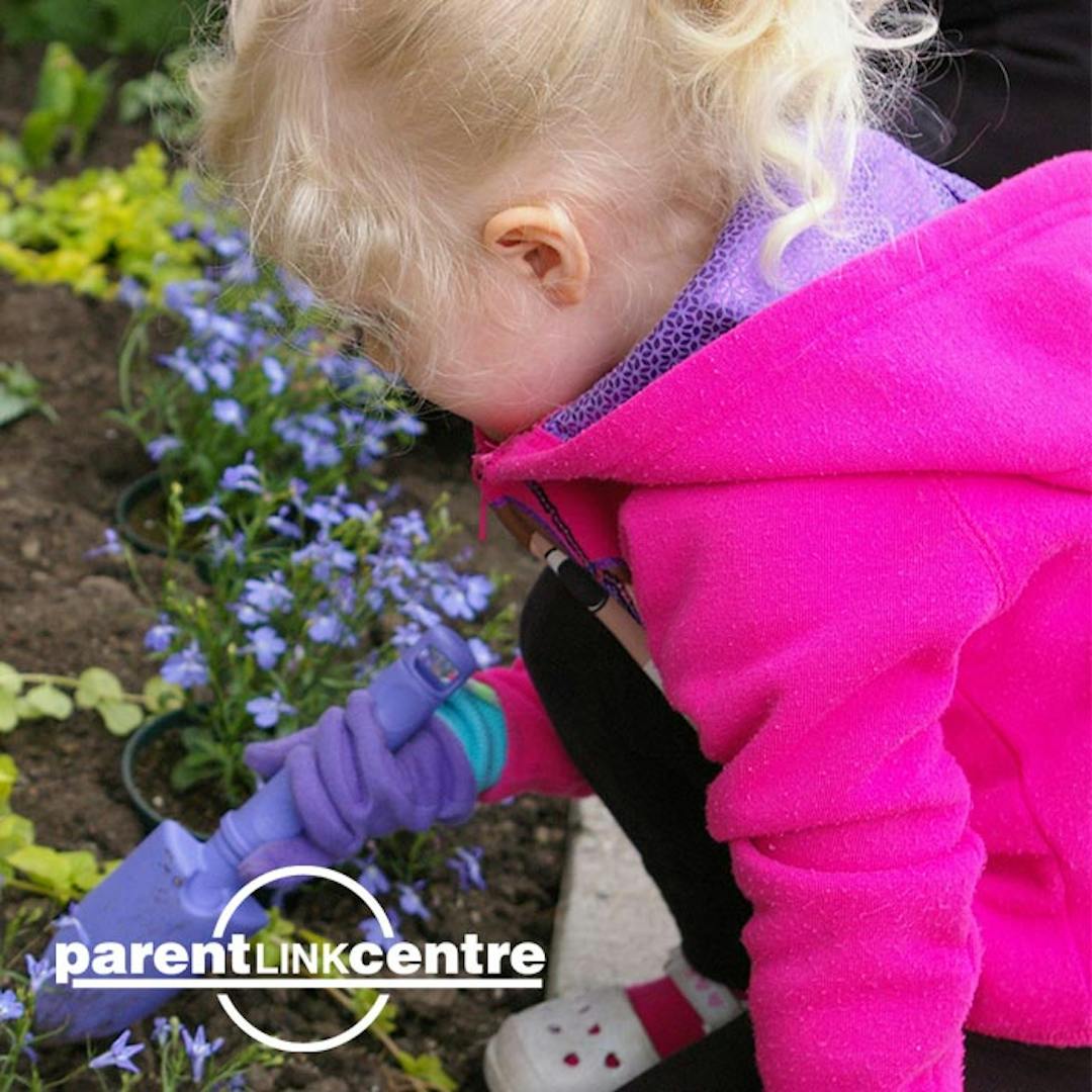 We want to hear from you! Please share your ideas about our summer Parent Link Centre Programs Parent Link Summer Programs in Chestermere, AB