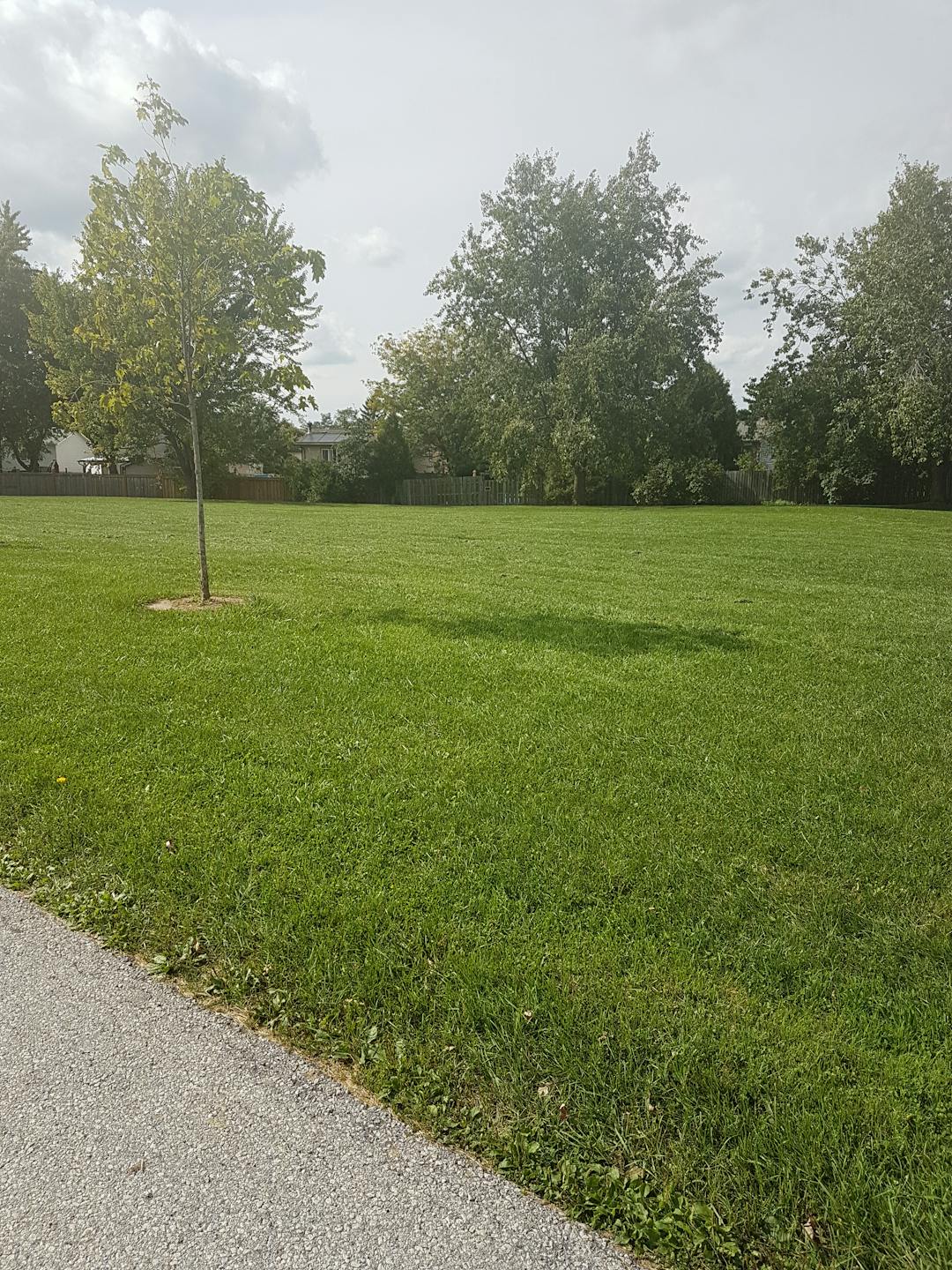 Parkland Open field with trees