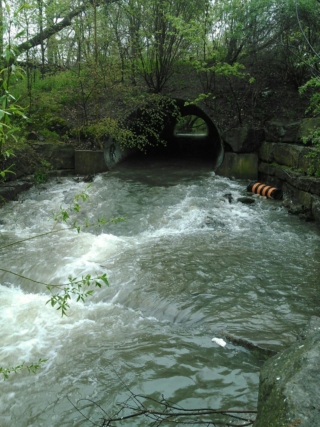 Photo of walkers creek 