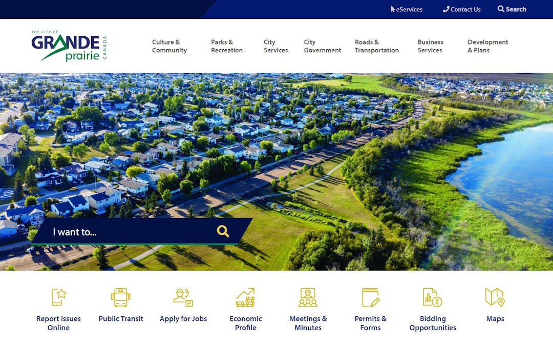 Beta Website Screenshot