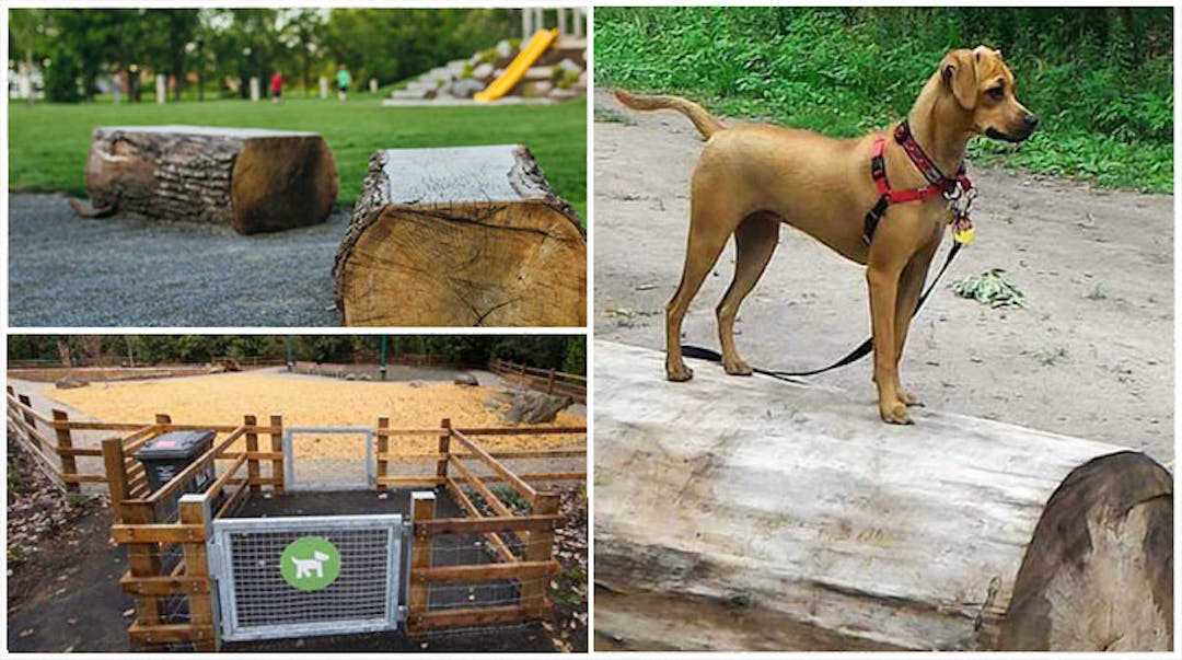off leash dog park