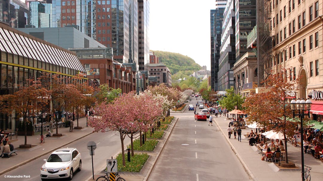 Avenue McGill College