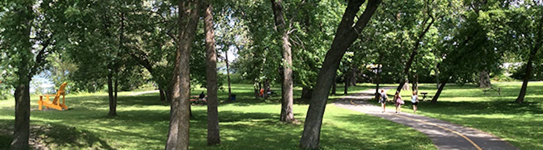 Plan local de développement durable de l'arrondissement de RDP-PAT