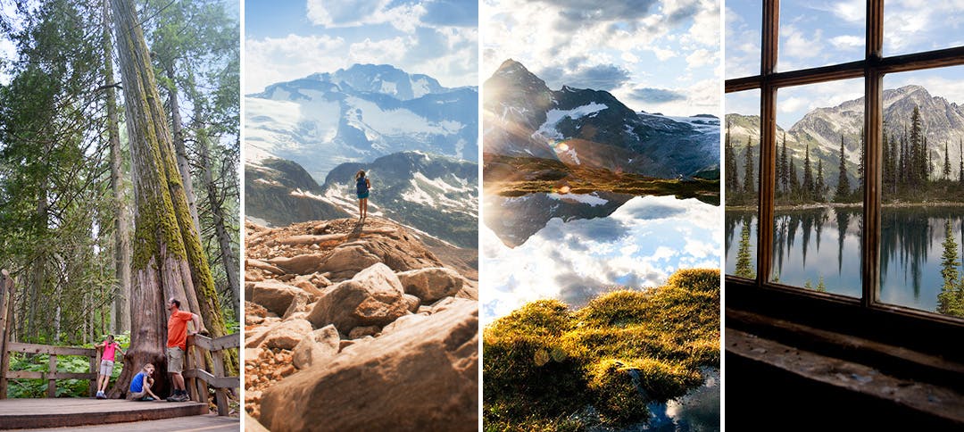 Collage of images from Mount Revelstoke and Glacier national parks